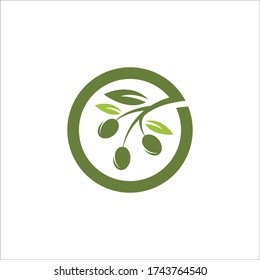 Diseño de ilustraciones de iconos vectoriales de logotipo Olive