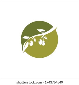 Diseño de ilustraciones de iconos vectoriales de logotipo Olive