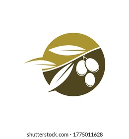 Olive logo template vector icon illustration design