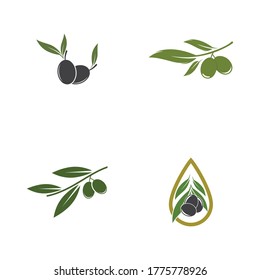 Olive logo template vector icon illustration design