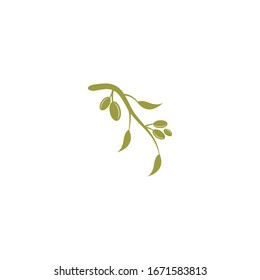 Ilustración vectorial de la plantilla de logotipo Olive 