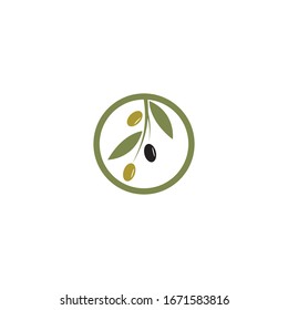 Olive logo template vector illustration 