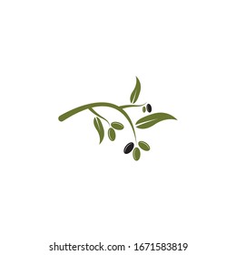 Olive logo template vector illustration 