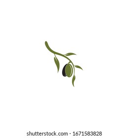 Olive logo template vector illustration 