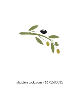 Olive logo template vector illustration 