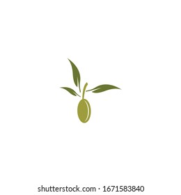 Olive logo template vector illustration 