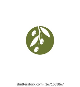Olive logo template vector illustration 