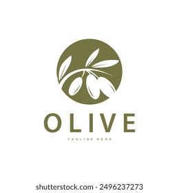 Logo de oliva, diseño de Vector Ilustración vectorial de Plantilla de Premium