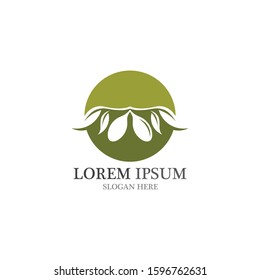 Olive logo vector design template