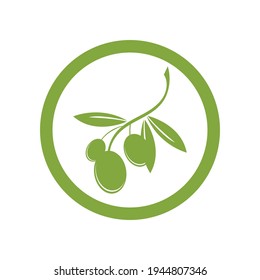 plantilla de diseño de ilustraciones vectoriales del logotipo de oliva