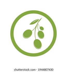 olive logo vector illustration design template