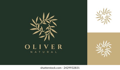 ilustración vectorial de logotipo de oliva, plantilla de logotipo de rama de oliva de lujo