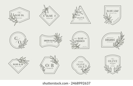 Olive logos templates set with olive branches  in minimal linear style. Vector leaves and olive fruits.