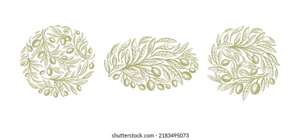 Olive mediterranean label. Vector texture set, green leaves, oil fruit. Engraved symbol on white background. Natural greek organic food