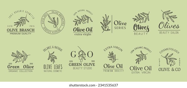 Olive minimal icons. Extra virgin oil, natural cosmetics and beauty care olive tree branch symbols. Fruit branches with olives and leaves vector thin line labels and badges, Mediterranean food or spa