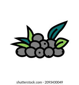 olive natural berries color icon vector. olive natural berries sign. isolated symbol illustration