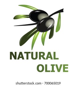 OLIVE NATURAL VECTOR
