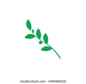 Olive nature icon vector illustration