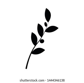 Olive nature icon vector illustration