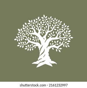 Olive or oak tree. Vector illustration of powerful fairy eco tree with green leafs. Design template for oil bottles