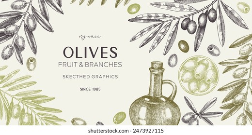 Olive oil banner design. Olives, tree branches, oil bottle sketches. Mediterranean food background in retro style. Hand-drawn vector illustration. NOT AI generated.