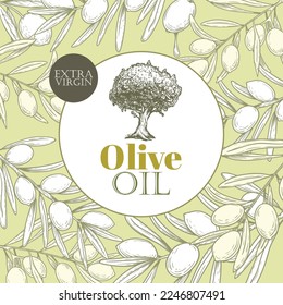 Olive oil banner design template. Sketch style olive branches and extra virgin vector label with olive tree on light background. Vector illustration.