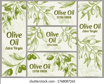 Olive oil banner. Organic oils labels, green olive branches and extra virgin vector label vector illustration set. Engraved plant with leaves for packaging template, sketch branches