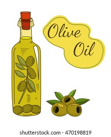Olive oil in the bottle with a branch and berries. Sketch style. Hand drawn vector EPS10  illustration.