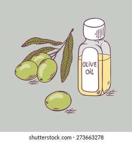 Olive oil in bottle with branch close up. Doodle vector illustration