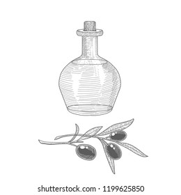 Olive oil bottle and olive branches.
