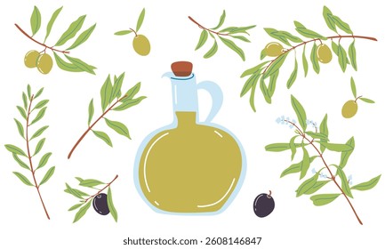 Olive Oil Bottle with Olive Branches and leaves. Vector illustrations