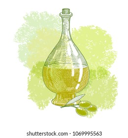 Olive oil bottle and olive branches on green watercolor spots background.