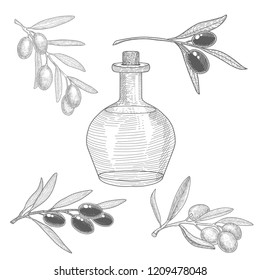 Olive oil bottle and olive branches set.
