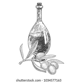 Olive oil in a bottle and an green olive branch . Ink sketch. Monochrome vector illustration isolated on white.