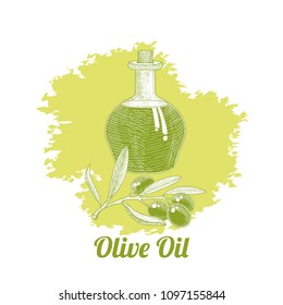 Olive oil bottle and olives branch on green background. Hand drawn vector illustration.