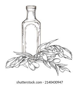 Olive oil bottle and olives, hand drawn engraving vector illustration isolated on white background. Vintage olive bottle label element for mediterranean, italian or greece food.