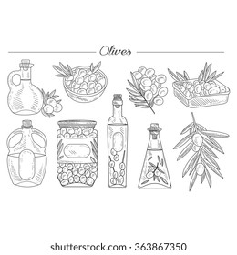 Olive Oil, Olive Branch Handdrawn Vector Collection