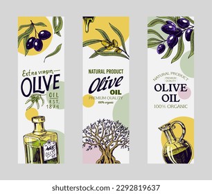 Vorlage für Olivenöl und Zweig-Etiketten. Elegantes Typografie-Banner. Bio-vegetarisches Produkt in Flasche. Grüne Anlage für Verpackungsdesign. Stilvoll gezeichnet in Vintage-Skizze. Vektorgrafik.