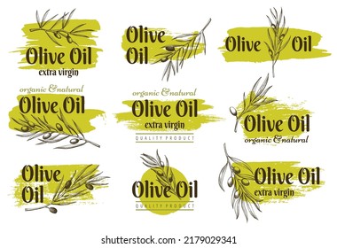 Olive oil. Branch on grunge stain frame or border background. Hand drawn sketch of labels. Natural organic product icons