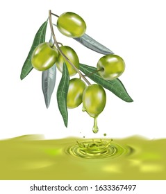 Olive oil with olive branch. Realistic 3d fruits of olives. Drop of olive oil splash.