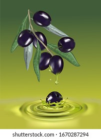 Olive oil with branch. Realistic 3d fruits. Drop of oil splash.