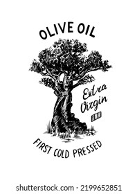 Olive oil and branch of trees logo. Organic vegetarian product in bottle. Green plant badge emblem patch sticker. Engraved hand drawn in old vintage sketch. Vector illustration.