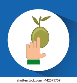 olive oil design 