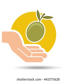 olive oil design 