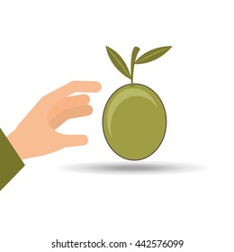 olive oil design 