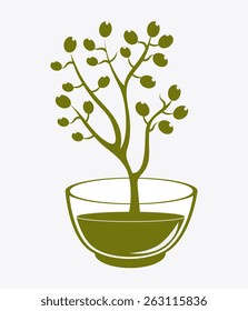 Olive oil design over white background, vector illustration.