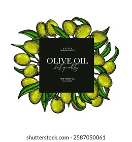 Olive oil design template. Green olive, leaves and branches vector drawing. Hand drawn label sketch. Banner, product packaging, design concept. Engraved food or cosmetic ingredient illustration.