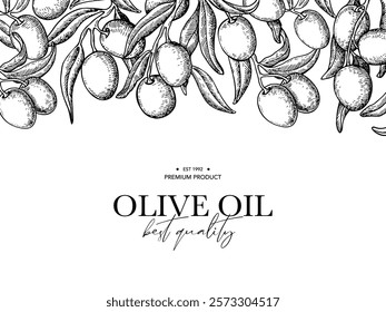 Olive oil design template. Olive leaves and branches vector drawing. Hand drawn label sketch. Banner, product packaging, design concept. Engraved food or cosmetic ingredient illustration.