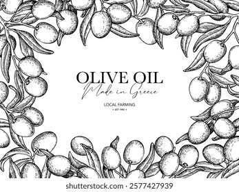 Olive oil design template. Olive leaves and branches vector drawing. Hand drawn label sketch. Banner, product packaging, design concept. Engraved food or cosmetic ingredient illustration.