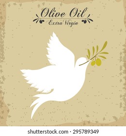 Olive Oil digital design, vector illustration eps 10